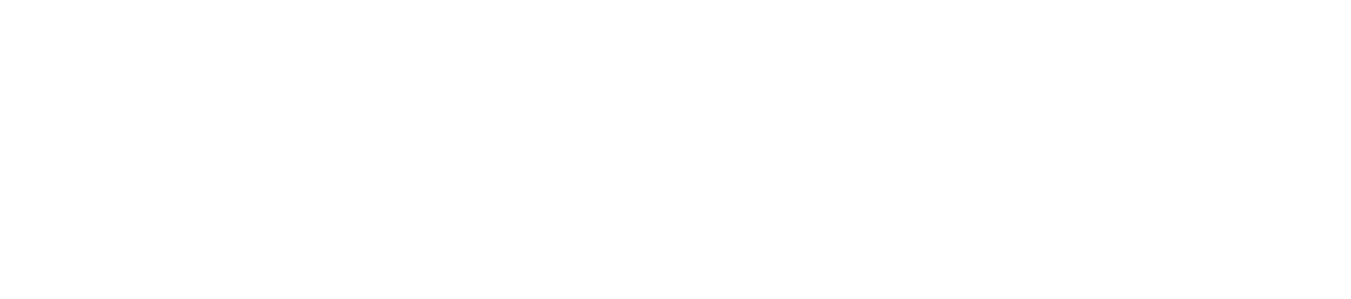 Processing Bros - Secure Your Success